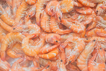 A close up shot showing a display of fresh, loose shrimp on ice for sale in a supermarket