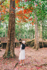 Asian woman visitting and enjoying with red maple foliage and wooden hut in School of Political and Military at Phu Hin Rong Kla national park