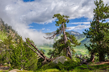 Nationalpark Gerber Tal | Pyrenäen