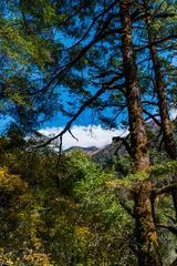 Cercles muraux Manaslu Green Forest Landscape of Taplejung Nepal seen during Kanchenjunga Base Camp Trek in the Himalayas