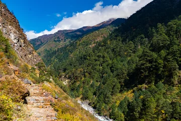 Crédence de cuisine en verre imprimé Manaslu Green Forest Landscape of Taplejung Nepal seen during Kanchenjunga Base Camp Trek in the Himalayas