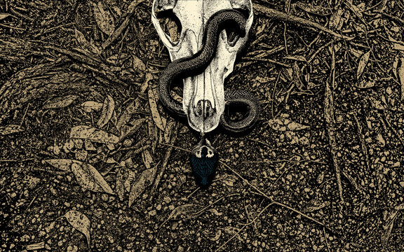 an animal skull with a snake in it