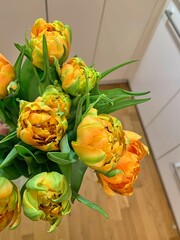 orange-green tulips, fresh cut flowers, spring tulips, bunch of flowers