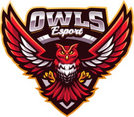 Owls esport mascot