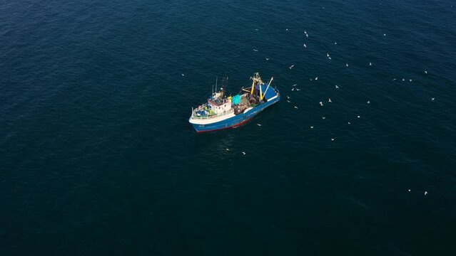 Aerial view to a fishing vessel in sea and many seagulls