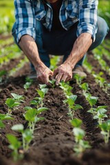 A farmer planting young seedlings in neat rows