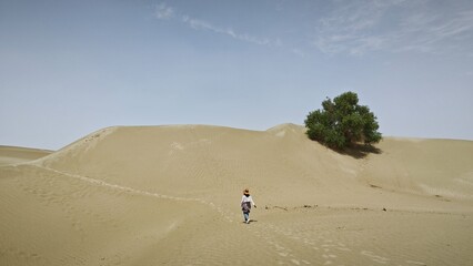 person walking in the desert