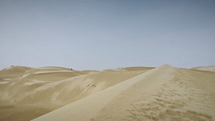 sand dunes in the desert