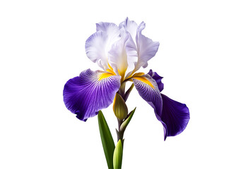 Iris image isolated on a transparent background PNG photo