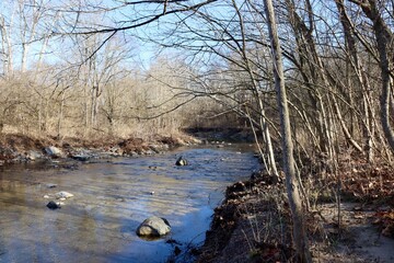 Obraz na płótnie Canvas The stream in the forest on a sunny day.
