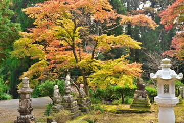 国上寺　紅葉（新潟県）