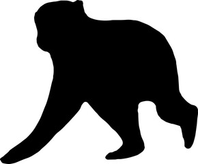 black monkey Silhouette png Vector Illustration. PNG on transparent background(png)
