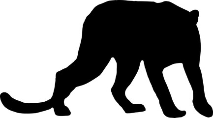 black leopard Silhouette png Vector Illustration. PNG on transparent background(png)