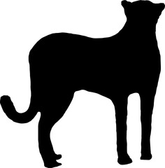 black leopard Silhouette png Vector Illustration. PNG on transparent background(png)