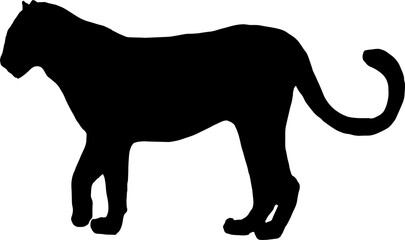 black leopard Silhouette png Vector Illustration. PNG on transparent background(png)