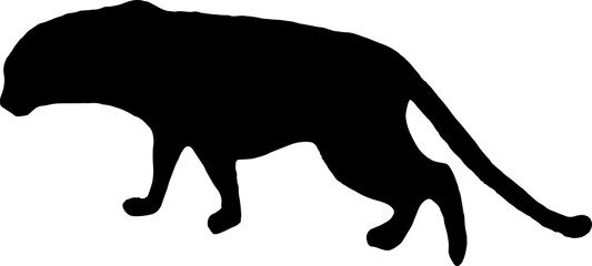 black leopard Silhouette png Vector Illustration. PNG on transparent background(png)