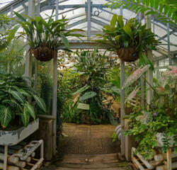View from inside the American tropical greenhouse in Lyon's botanical garden, France