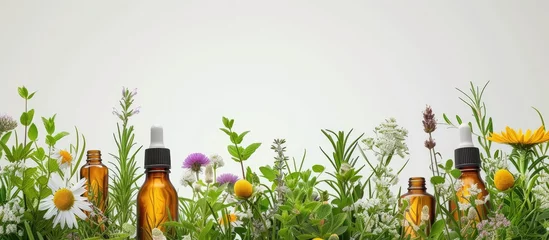 Fotobehang Medicinal herbs and tinctures alternative medicine Selective focus Nature. with copy space image. Place for adding text or design © vxnaghiyev