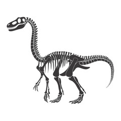 Fototapeta na wymiar Silhouette Dinosaur skeleton black color only