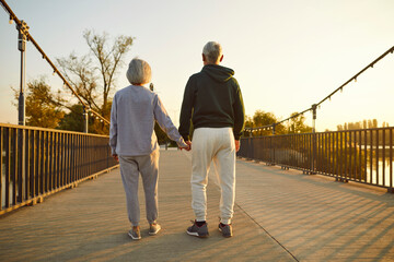 Two elderly people enjoying leisurely stroll in summer. Back view loving senior couple. View from...
