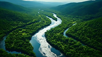Fototapeta na wymiar river in green forest aerial footage aerial stock videos & royaltyfree footage