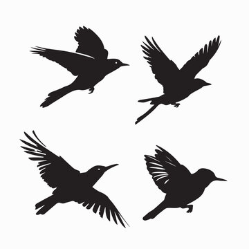 Black bird silhouettes. vector elements with fully editable