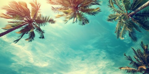 Fototapeta na wymiar palm trees against a blue sky, bottom view Generative AI