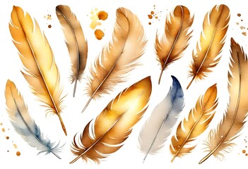 golden Watercolor feather