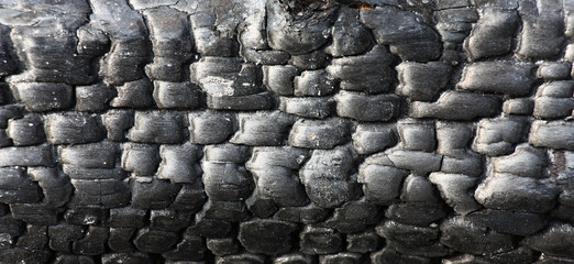 The image of a surface of the burning and charred wood. An original background with an original...