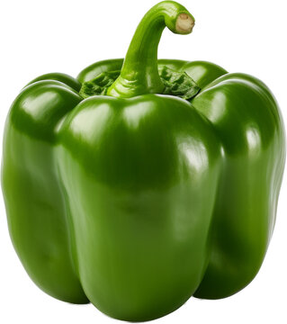 bell pepper,green bell pepper isolated on white or transparent background,transparency