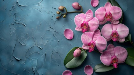 orchids background with space for copy