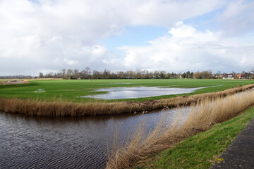 Pasture landscape in North Holland. Ditch, meadows with water puddles after rain. Cloudy. Near the village of Bergen. Netherlands, February