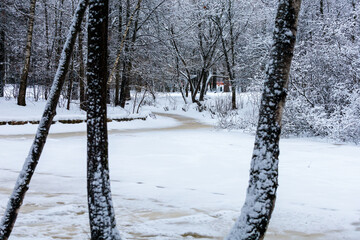 Winter landscape with frozen river and trees covered with snow in the park