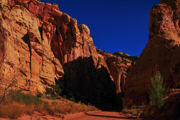 The Scenic Drive through the sandstone walls of the Capitol Gorge, Capitol Reef National Park, Utah, Southwest USA.