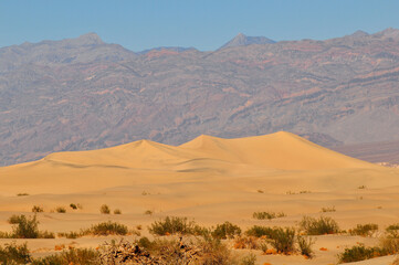 Mesquite Flat Sand Dunes surrounded by the barren mountains of Death Valley National Park, California, USA.