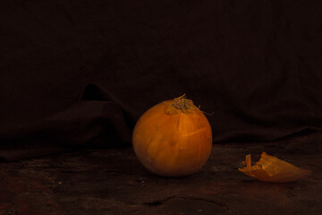 still life with an onion in low key