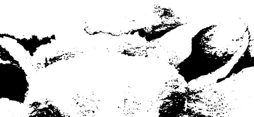 Naklejka premium Rustic grunge texture with grain and stains. Abstract noise background. PNG graphic illustration with transparent background.