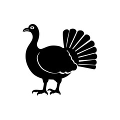 Turkey icon