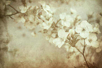 Vintage paper background with aged texture and sepia tones, evoking nostalgia and vintage charm.