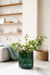 Fototapeta na wymiar Glass green vase with branches in modern living room decor in light colors. Elegant lifestyle Scandinavian scene