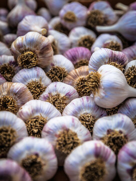 garlic on the market