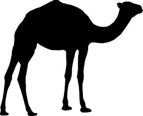 Camel silhouette icon vector illustration. png symbol or sign. Camel icon vector for design of desert, sahara, africa or journey suitable for the design of Hajj,(png)