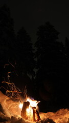Fire in dark winter forest. Flame with long exposure.