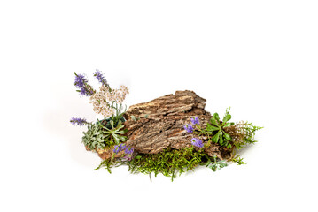 the composition with driftwood, moss and wild grasses is isolated on a white background. a podium for a product made from natural ingredients.