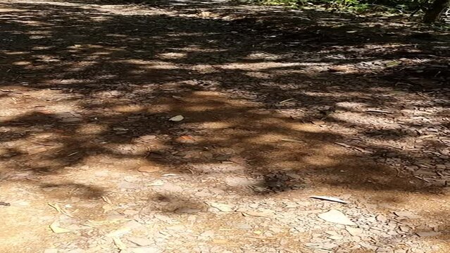 Sitio arqueol&oacute;gico