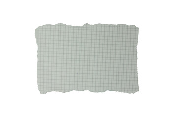 Piece of graph paper on transparent background
