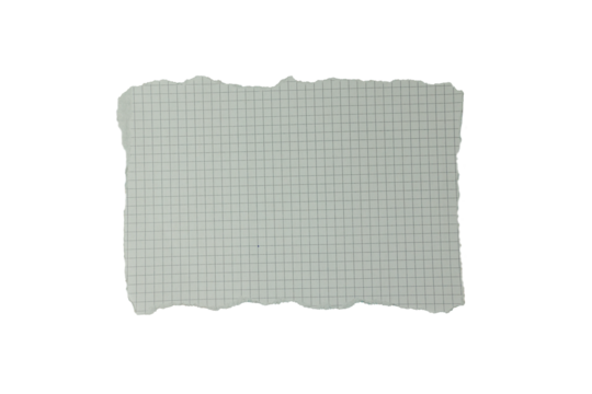 Piece of graph paper on transparent background
