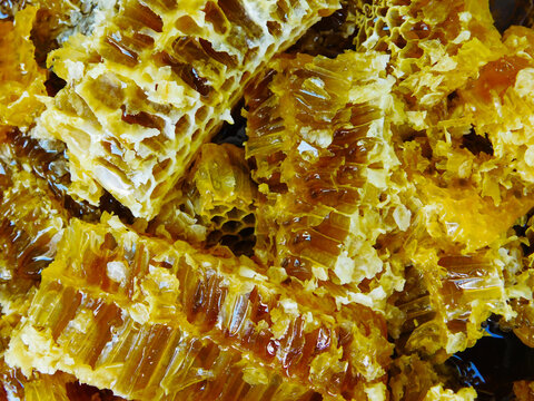 close up of honey combLots of honeycombs pictured after after extraction from beehives.