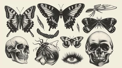 Crédence de cuisine en verre imprimé Papillons en grunge A collection of hand-drawn illustrations of skulls, butterflies, and moths.