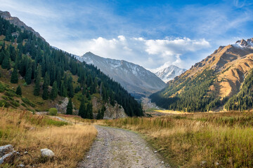 mountain river in the mountains